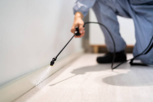 Licensed Fumigation Services service in Ketchum, ID - Nex Pest Control
