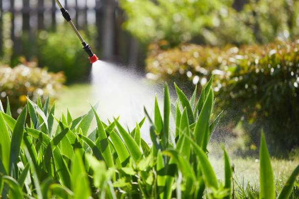 24/7 Emergency Fumigation Services experts in Ketchum, ID